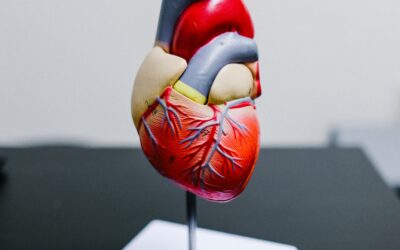 The Doctor Is In (Virtually!): Heart Health